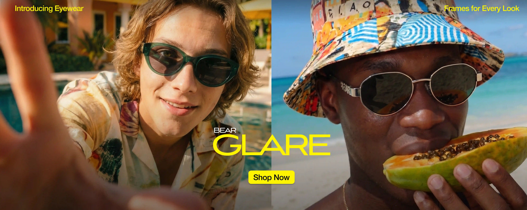 Bear Glare - sunglasses